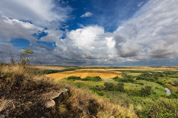 Область Войска Донского / ***