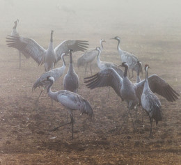 Семейный отдых / 2016г.