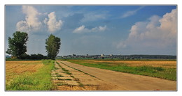 пригородный пейзаж / ***