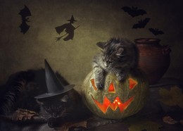 Хэллоуин / - Отдавай мою шляпу! Это я буду ведьмой!