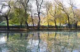 Осень в парке. Владикавказ. / ***