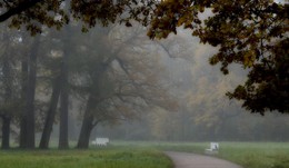 Утром осенним..... / Царское Село. Екатерининский парк. Октябрь