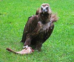 Сиеста. / Привет!
[img]http://rasfokus.ru/upload/comments/14c9a206b8844fe9c0f9bbcadf3376eb.jpg[/img]

А Фото пришлете?:)
[img]http://rasfokus.ru/upload/comments/33b6291e37625430a79d8961d46d17dd.jpg[/img]