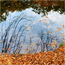 &nbsp; / отражение