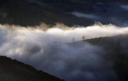 Cloud Paradise / A foggy morning in the Auvergne / France