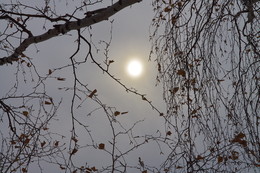 *НОЯБРЬСКОЕ СОЛНЫШКО.** / ТОМСКАЯ ОБЛАСТЬ.