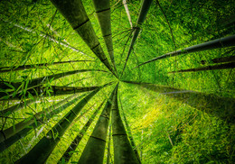 к небу / sony nex7 Japan