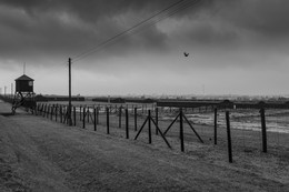Majdanek, Lublin / ...