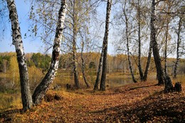 Осенняя зарисовка. / Осень.