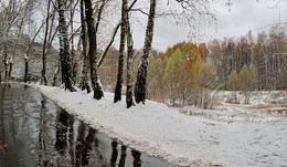 Сухой пруд в ноябре... / Парк Кусково...