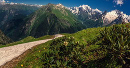 С рододендроном на ПП / Рододендрон кавказский, с душистыми цветами, сопутствовал нам при подъёме в горах Домбая и Приэльбрусья.
Снято при подъёме на Семёнов-Баши. На ЗП - вершины Главного Кавказского хребта.

http://www.youtube.com/watch?v=a8eDygS7zG0