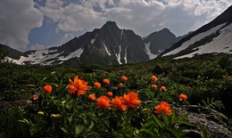 Огоньки в горах в августе / Горный хребет,Кузнецкий Алатау,Хакасия