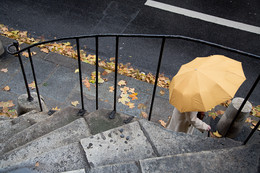 &nbsp; / Город сегодня кокетничал и выбирал прохожих с зонтиками в цвет улиц.