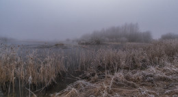 Хмурое утро... / Туман, заморозки близ болотистой Грайны, Гродненская область. 2015г.