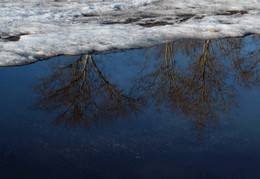 &quot; &quot; &quot; / Отражение в весенней луже.