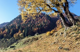 Кусочек подарка осени... / горы,осень