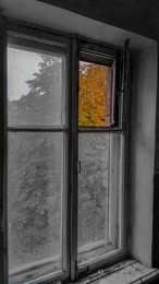 Осенний сон / Окно в осень