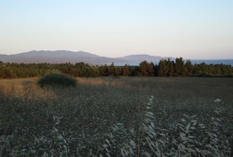 Метаморфоси в лучах заходящего солнца / Metamorfosi at sunset