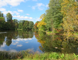 Осенний сон / ***