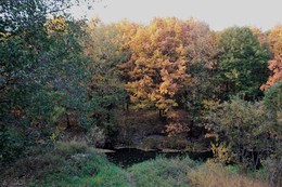 Осенний сон / Лесная речка Серёжа.