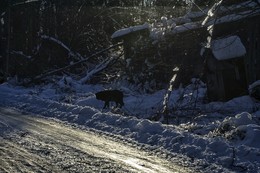 Осенний сон / осеннийсон