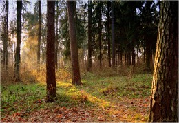 осеннее / ***