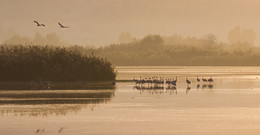 Озерная идиллия / 2016г.