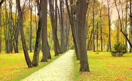 Парк в Спасском / Осенний парк в усадьбе Тургенева в Спасском