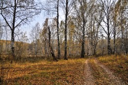 Осенняя зарисовка. / Осень.