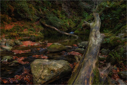 ...Glendalough creeks... / ***