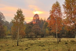 Закат осени / Вереницею, луга,
уползают в сад осенний...
Скоро вырвется зима,
из оков своих последних.
Заметет, завьюжит весь,
вдруг, притихший садик белый...
Бесконечный лунный снег,
тропинки все застелет.
От мороза, невтерпеж,
будет спрятаться охота...