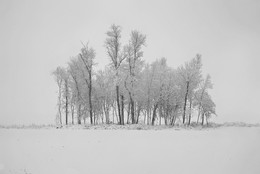 Последний день осени...(первый снег). / снято из автобуса, сегодня...