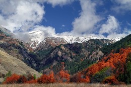 Горы.. / Кавказ...