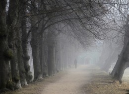 Старые липы.... / Петергоф. Красный пруд. Апрель