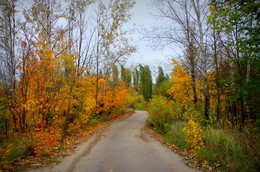 Осенними дорогами / ***