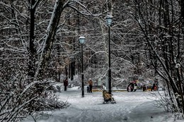 Прогулки с детьми в парке. / Сокольники.