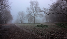 Зябко и сыро / Туманная серия