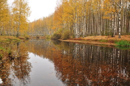 Тихая осень. / Осень на лесном озере.