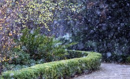 Зимняя сказка / ***