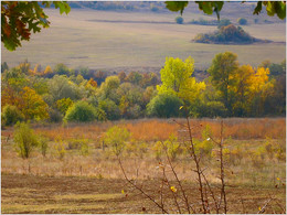 Солнечная осень / "В цветном ажуре лес и сад,
Какая солнечная осень!..."
Н. Семушкина
