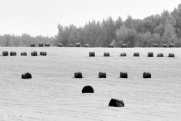 Пятничная зимовка / /\/\/\/\