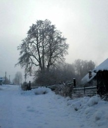 Пятничная зимовка / Деревенская улица зимой