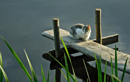 &nbsp; / на мостике