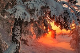 вечерний мороз / Иркутская область Казачинско-Ленский район вечерний морозец - 35