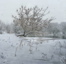 О том,как белый снег кружился... / зима!..