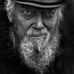 дилемма / ***