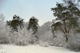 Снежный наряд / Выпавший ночью снег нарядил природу в городском парке