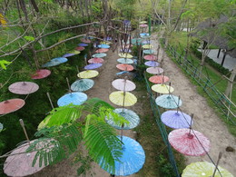 Параллельные миры / Тайланд, г. Паттайя, Деревня Каренов (племя длинношеих женщин), зонтики