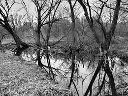 Омут / Отражение в омуте