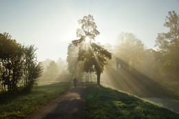 Однажды осенним утром... / Осеннее туманное утро в Александровском парке